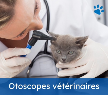 Stéthoscopes vétérinaires